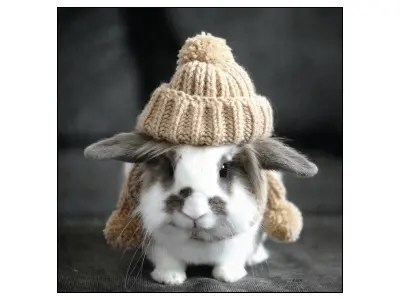 Klicka för större bild