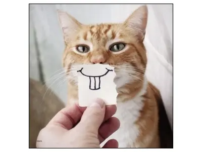 Klicka för större bild