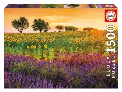 Klicka för större bild