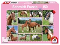 Schmidt: Beautiful Horses (150)