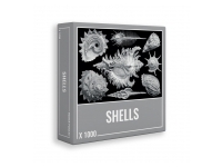 Cloudberries - Shells (1000)