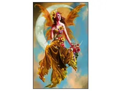 Klicka för större bild