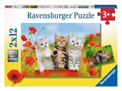 Klicka för större bild