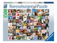 Ravensburger: 99 Cats (1500)
