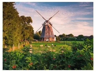 Klicka för större bild