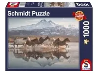 Schmidt: Horses in Cappadocia (1000)