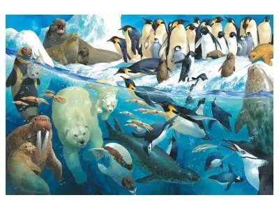 Klicka för större bild