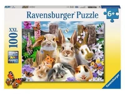 Klicka för större bild