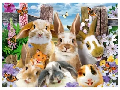 Klicka för större bild