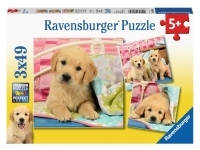 Ravensburger: Cute Puppy Dogs (3 x 49)
