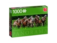 Jumbo: Panorama - Halflinger Horses (1000)