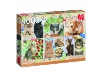 Jumbo: Cat Stamps (1000)