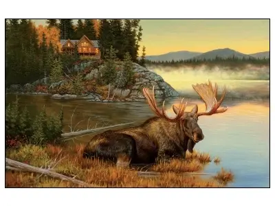 Klicka för större bild