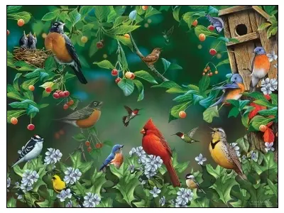 Klicka för större bild