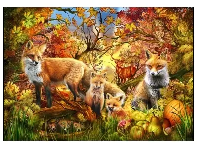 Klicka för större bild