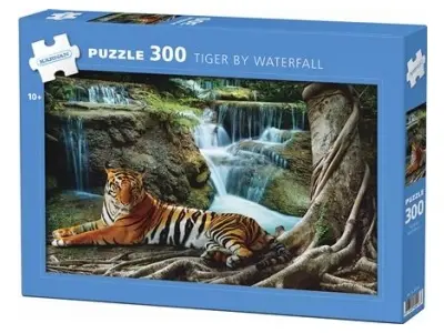 Klicka för större bild