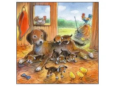 Klicka för större bild