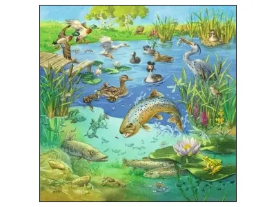 Klicka för större bild