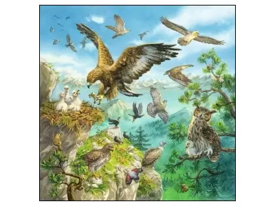 Klicka för större bild