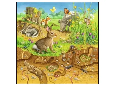 Klicka för större bild