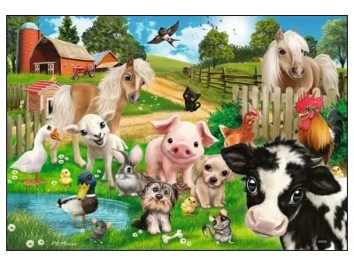 Klicka för större bild