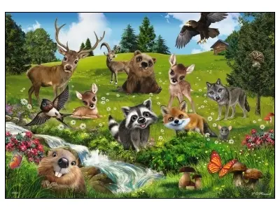 Klicka för större bild