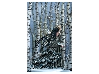 SunsOut: Nene Thomas -  Aveliad The Forest (1000)