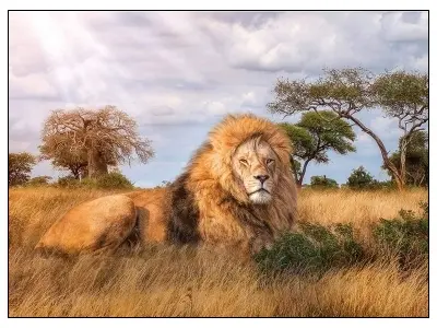 Klicka för större bild