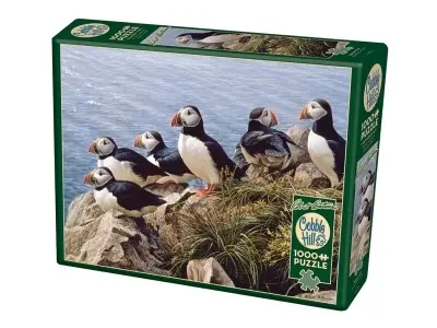 Klicka för större bild