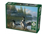Cobble Hill: Common Loons (1000)