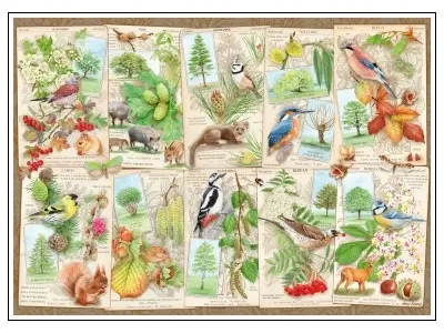 Klicka för större bild