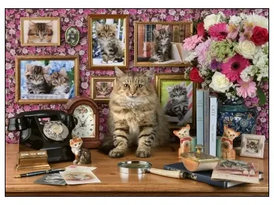 Klicka för större bild