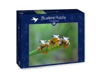 Bluebird Puzzle: Friendly Frogs (500)