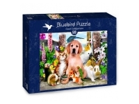 Bluebird Puzzle: Good Companions (500)