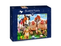 Bluebird Puzzle: Petting Farm (500)