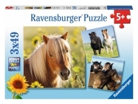 Ravensburger: Loving Horses (3 x 49)