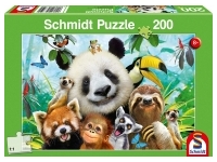 Schmidt: Animal Fun! (200)
