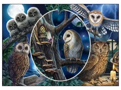 Klicka för större bild