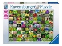 Ravensburger: 99 Herbs and Spices (1000)
