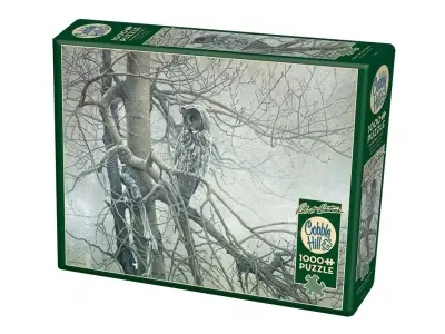 Klicka för större bild