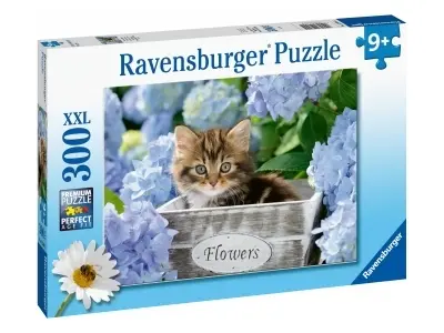 Klicka för större bild