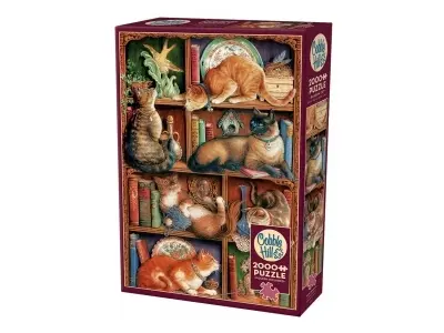 Klicka för större bild