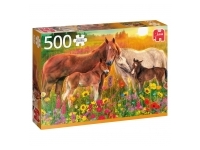 Jumbo: Horses in the Meadow (500)