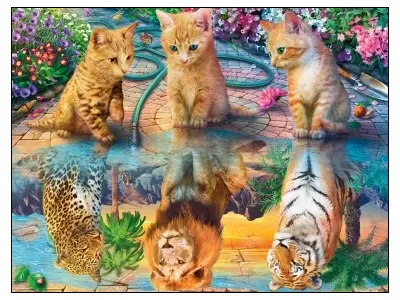 Klicka för större bild