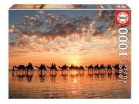 Educa: Golden Sunset on Cable Beach, Australia (1000)