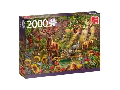 Klicka för större bild