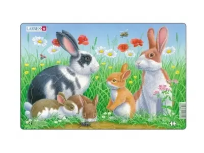 Klicka för större bild