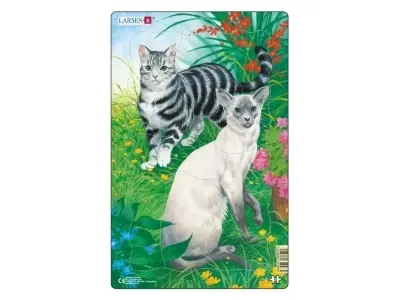 Klicka för större bild