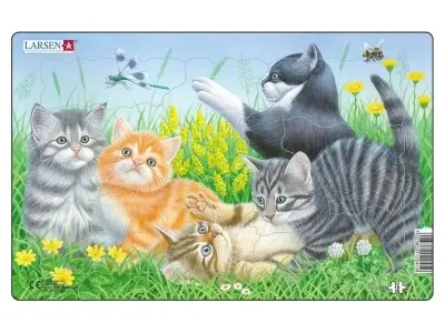 Klicka för större bild