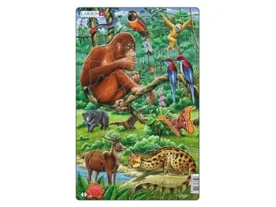 Klicka för större bild